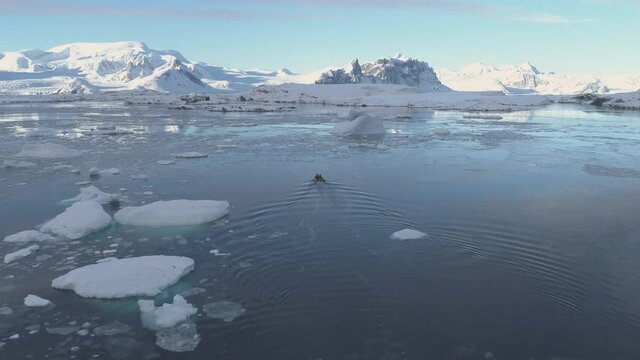 Zodiac Motor Boat in Icebergs, Following Aerial View.