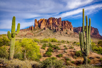 saguaro cactus and mountains - obrazy, fototapety, plakaty