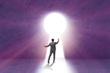 Obraz premium Businessman opening new door to success