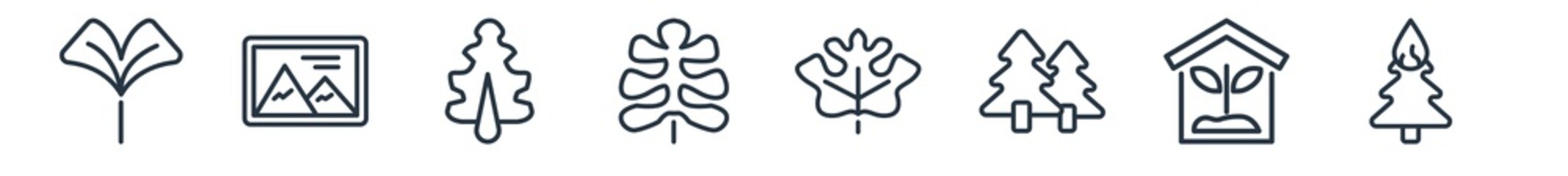 linear set of nature outline icons. line vector icons such as ginkgo, landscape inside frame, pedunculate, oak leaf, hawthorn leaf, pine tree on fire vector illustration.