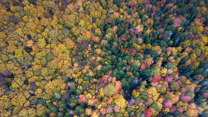 Beautiful aerial views of autumn fall foliage landscape in Wentworth valley,  Nova Scotia. Autumn colors of  Nova Scotia, Canada