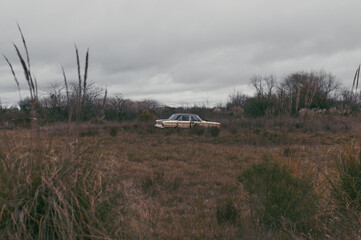 Abandoned car in the field