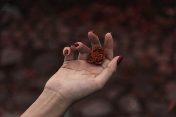 Female white hand with little rose 