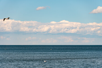 Fototapeta na wymiar Clouds and water lake Ontario. White blue small clouds on the sky near water coast in Toronto. Summer mood vibes. Sunny leisure after lock down. Relaxing background.