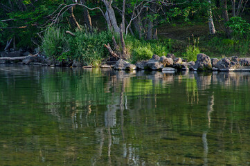 湖畔の草木と岩。