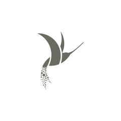 hummingbird digital logo design vector