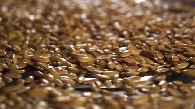 Dried flax seeds on a saucer. Macro shot. Rotation. Source of Omega-3