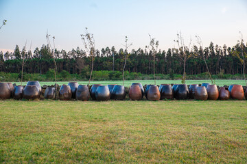 Colorful jars on the lawn