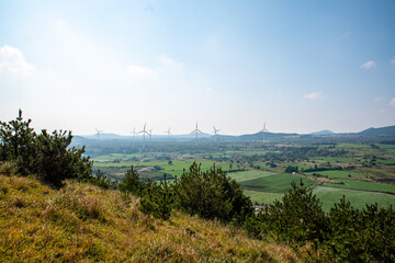 wind turbines on a green field