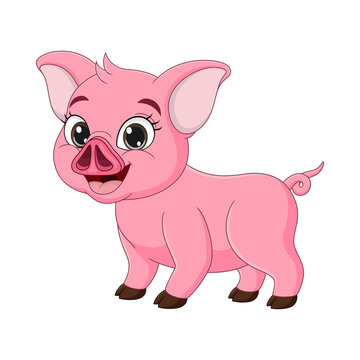 Cute baby pig cartoon on white background