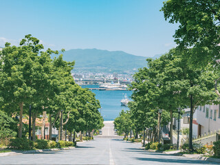 函館の海を見下ろす八幡坂からの眺め