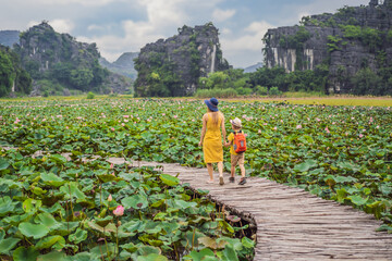 Mother and son in a yellow on the path among the lotus lake. Mua Cave, Ninh Binh, Vietnam. Vietnam...