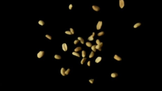Peanuts slow motion shot black background. Peanuts are scattered in different directions