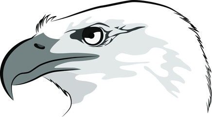 Black and gray image of an eagle head vector illustration