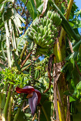 Diversity at the Werribee Open Range Zoo Melbourne