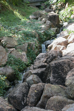 The River At The Yuen Long Park, Hong Kong 11 June 2005