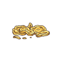 Slices of ginseng root engraving etched style vector illustration isolated.