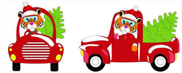 Obraz premium Tiger santa claus driving a red car. A tiger in a New Year's suit is carrying a Christmas tree. The symbol of the new year. Print for sweatshirt, t-shirt. Funny christmas card. 