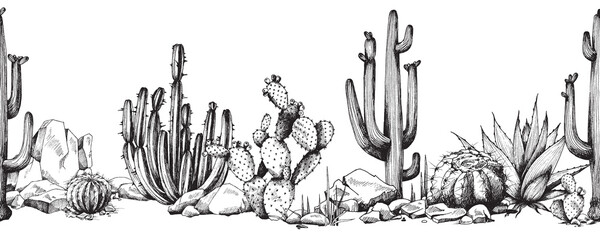 Seamless border with succulents and cactuses, engraving vector illustration. © sabelskaya