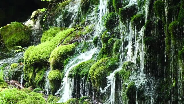 日本の新緑の渓流・渓谷　(パン)
