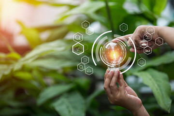 hand holding light bulb against nature, icons energy sources for renewable,