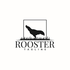 Rooster logo illustration template design 