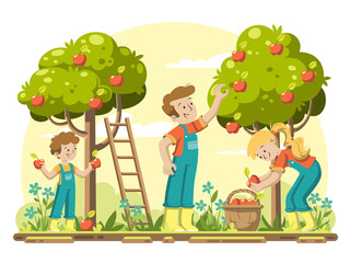 Young family picking apples in the garden. Ripe apples hanging on trees. Vector illustration in modern cartoon style. 