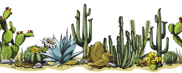 Decorative colorful seamless border with cactuses engraving vector illustration. © sabelskaya