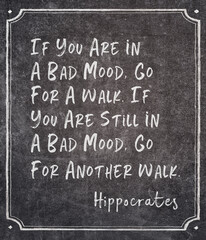 Fototapeta premium another walk Hippocrates