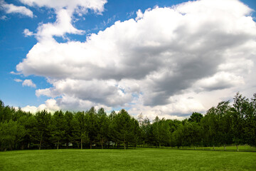 Landscape of green grass, forest and cloudy sky background, copy space