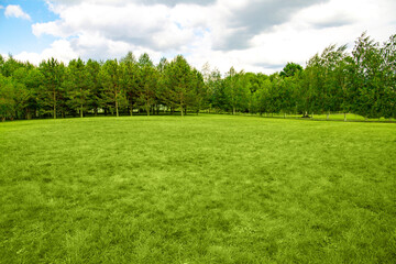 Landscape of lawn and forest background, copy space