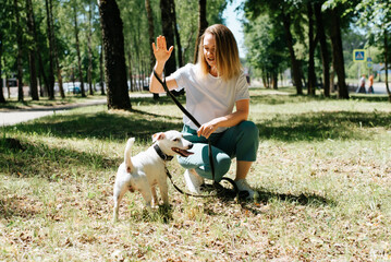 Naklejka na ściany i meble Beautiful young woman playing with a jack russell terrier on the green grass in the park. Girl on a walk with a dog, outdoors.