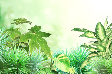 Exotical border with plants of jungle and copy space for text