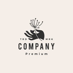hand hold dandelion hipster vintage logo vector icon illustration