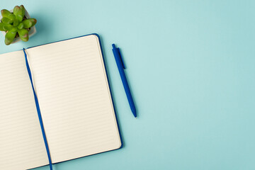 Top view photo of open blue organizer pen and plant on isolated pastel blue background with...