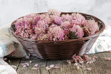 Purple onion inflorescences in close-up.