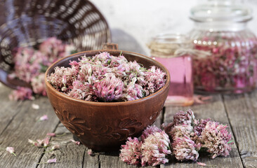 Purple onion inflorescences in close-up.