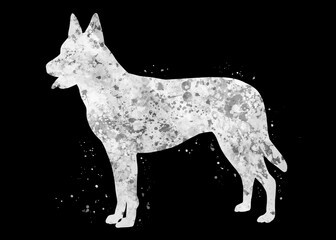 Dutch shepherd Dog black and white watercolor, abstract painting. Watercolor illustration rainbow, colorful, poster, decoration wall art.