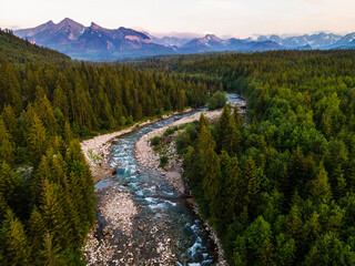 Bialka River in Tatra Mountains. Green Forest and Landscape.