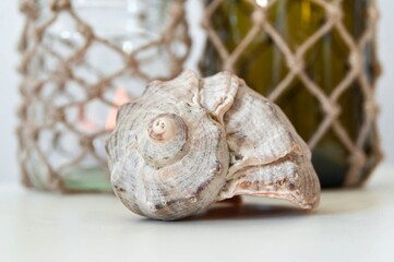 Summer homemade decoration, natural rapana sea shell, glass jar and bottle with macrame knotting cord of twine as decorative cover. Shallow depth of focus. Season concept, handmade art set.
