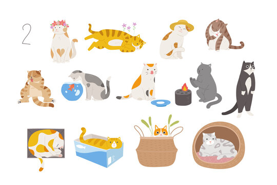 Cute and funny cats of various breeds. hand drawn style vector design illustrations. 