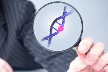 DNA damage. Genetic diseases. A person examines a damaged DNA helix through a magnifying glass....