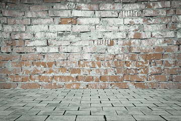 Empty room with bricks wall and tiled floor.
