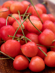 さくらんぼ　佐藤錦