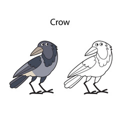 Funny cute bird crow isolated on white background. Linear, contour, black and white and colored version. Illustration can be used for coloring book and pictures for children