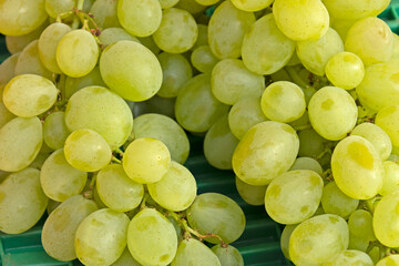 raisin blanc sur un étal de marché