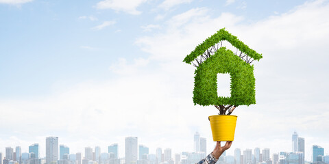 Green plant in shape of house grows in pot