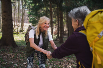 Senior women hikers outdoors walking in forest in nature, giving helping hand.