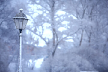 lantern in a winter park in the afternoon, a view in December in the city