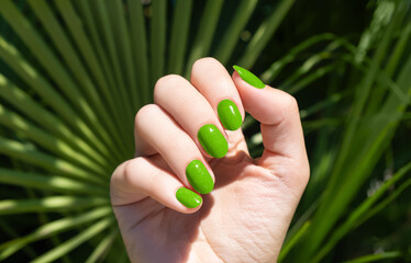 Female hand with green nail design. Green nail polish manicure. Female hand on a tropic plant leaf background. - obrazy, fototapety, plakaty